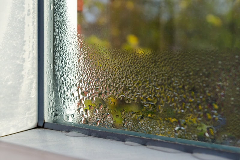 condensation developing on a window of a home.