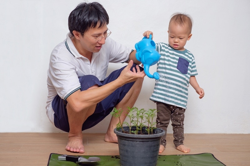 MSC_A_030-father-and-son-watering-plants