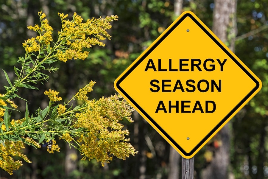 allergy-season-ahead-road-sign